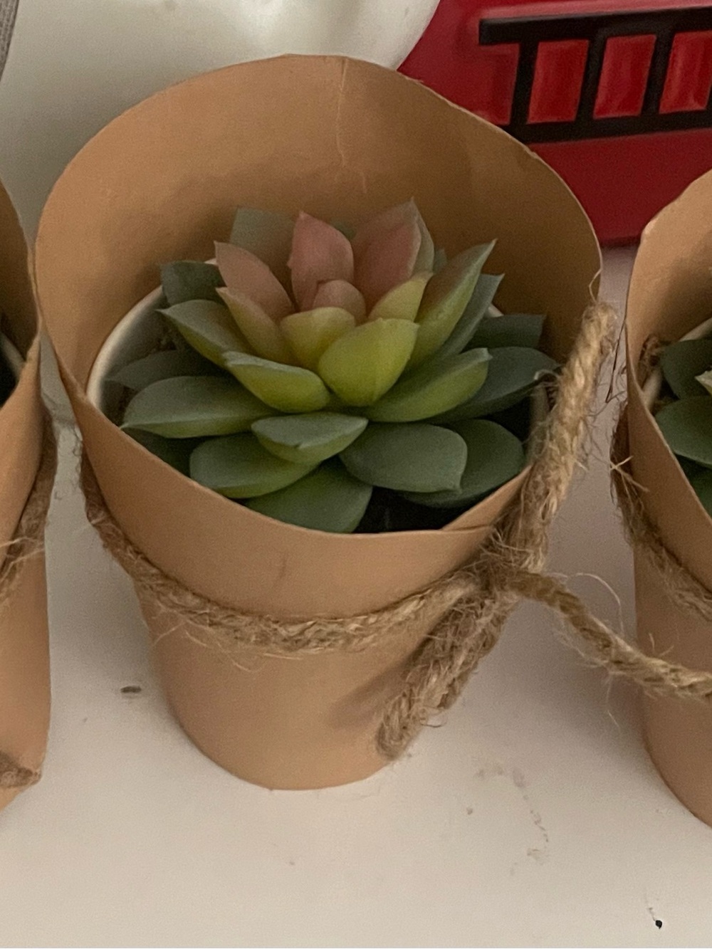 6 Mini Faux Succulent in Kraft Paper Pot - Green & Pink